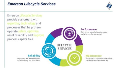 lifecycle services emerson|life cycle support services.